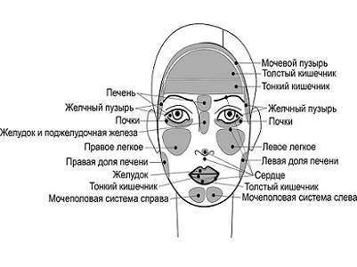 О чем говорят морщины на лице (индикаторы здоровья)